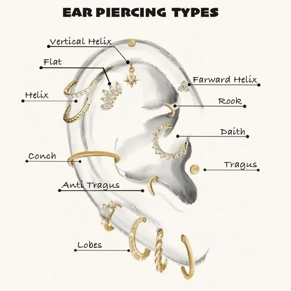 Elegant Gold S925 Flower cartridge Stud Earring - Picture 5 of 5